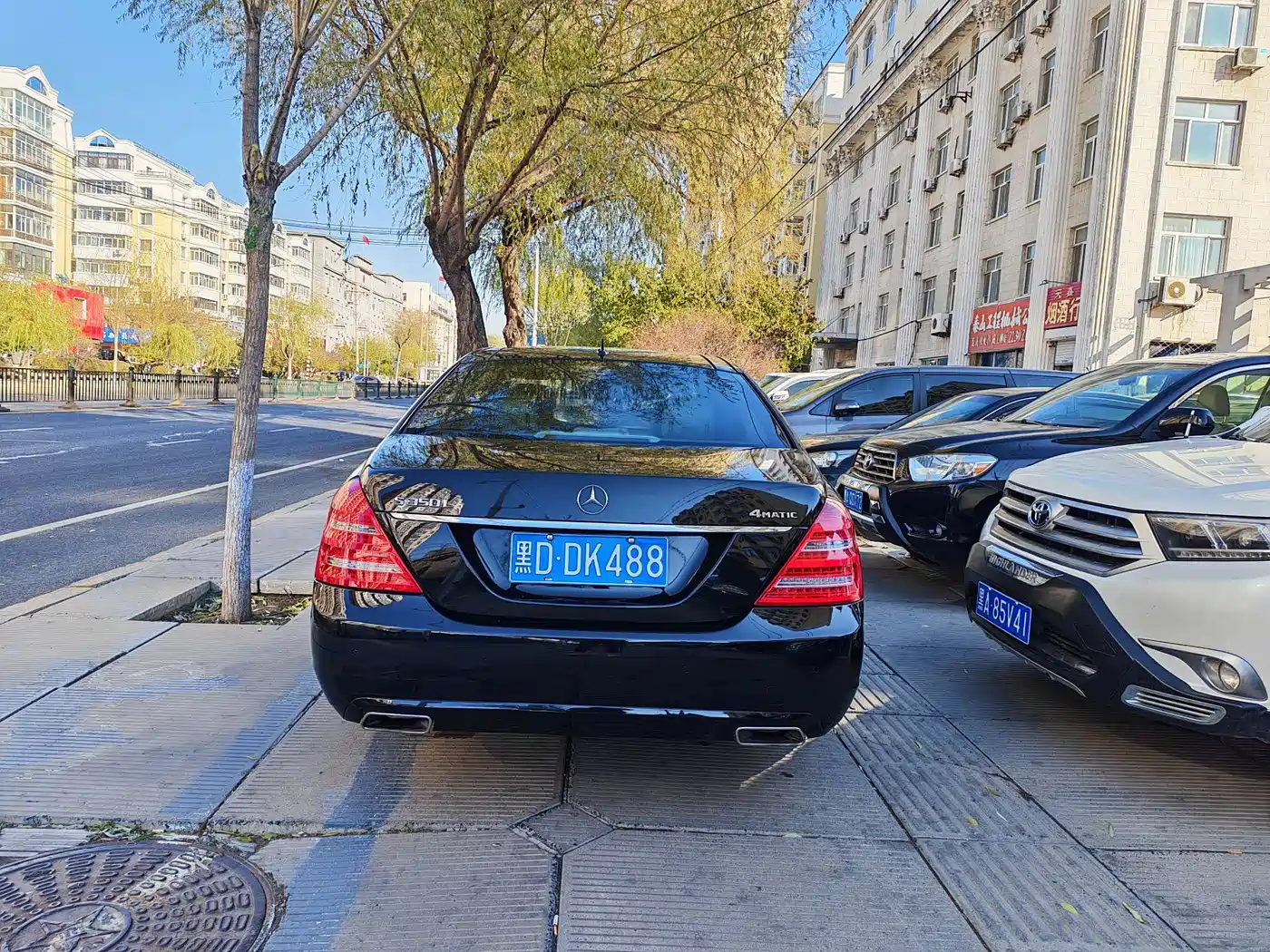 Mercedes-Benz S-Class 2010 S 300 L Premium фото 6