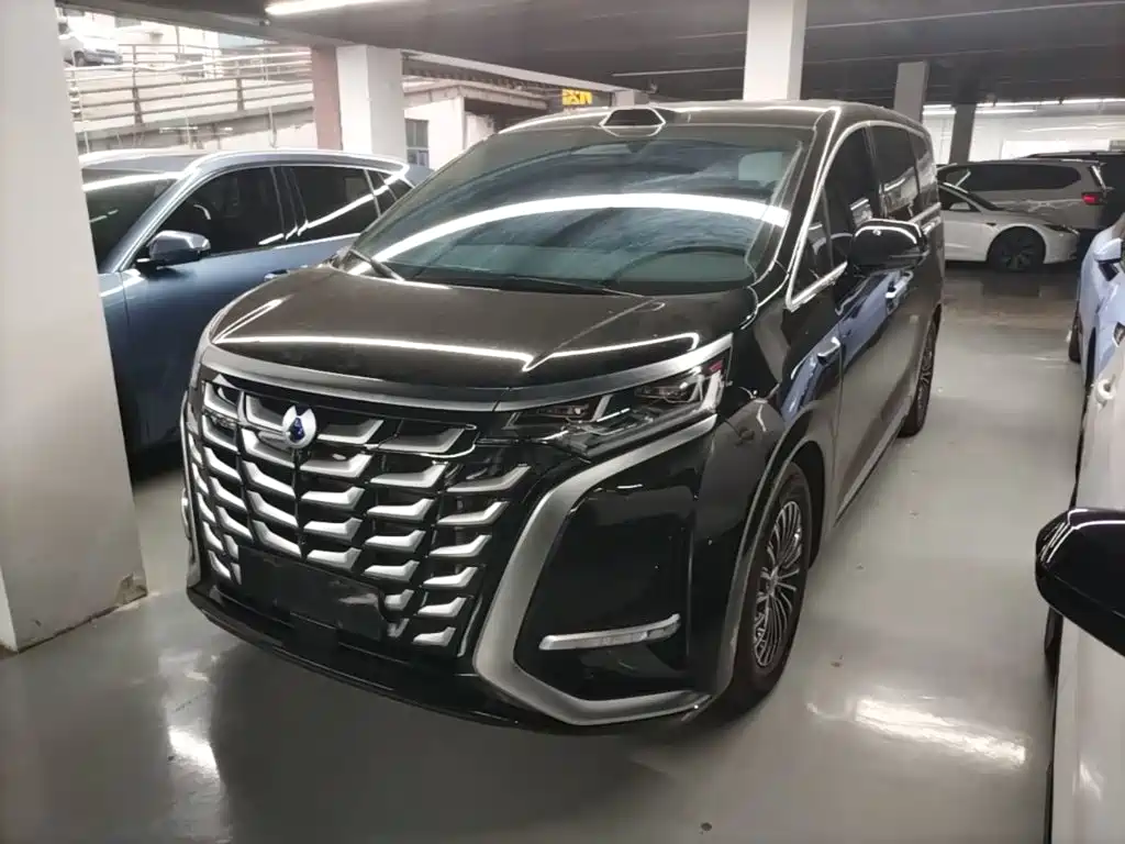 2026 Denza D9