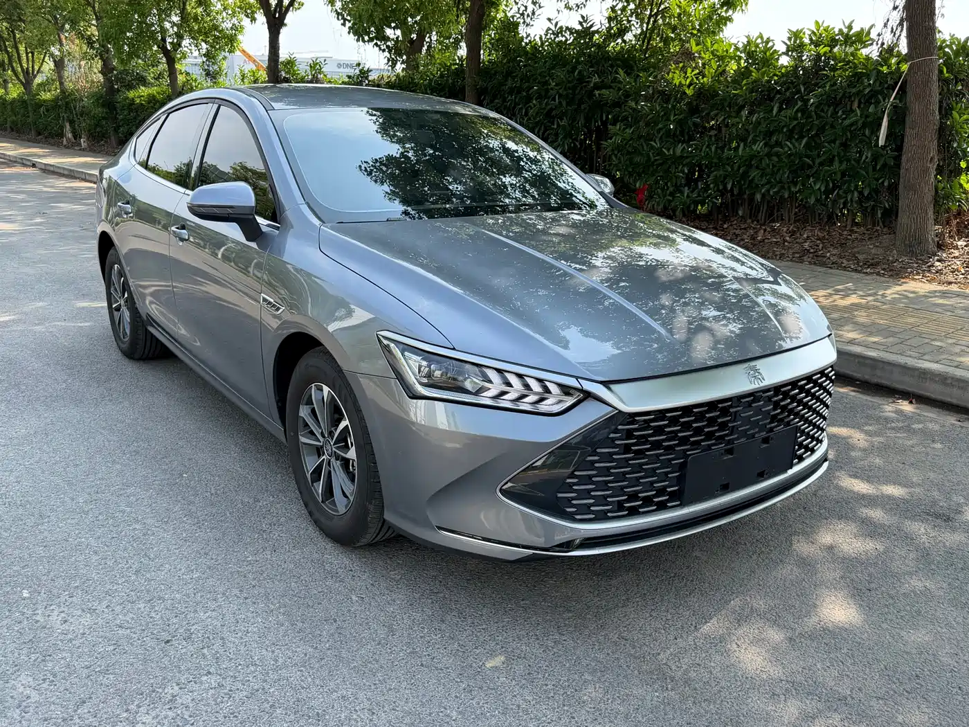 BYD Qin PLUS 2024 Glory Edition DM-i 55KM Leading фото 3