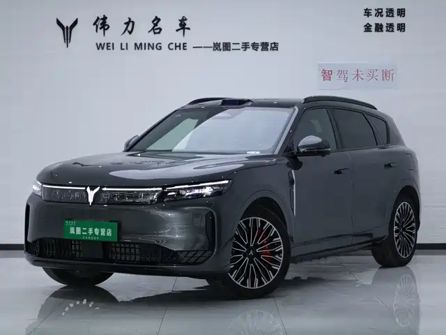 Voyah Auto VOYAH FREE 2025