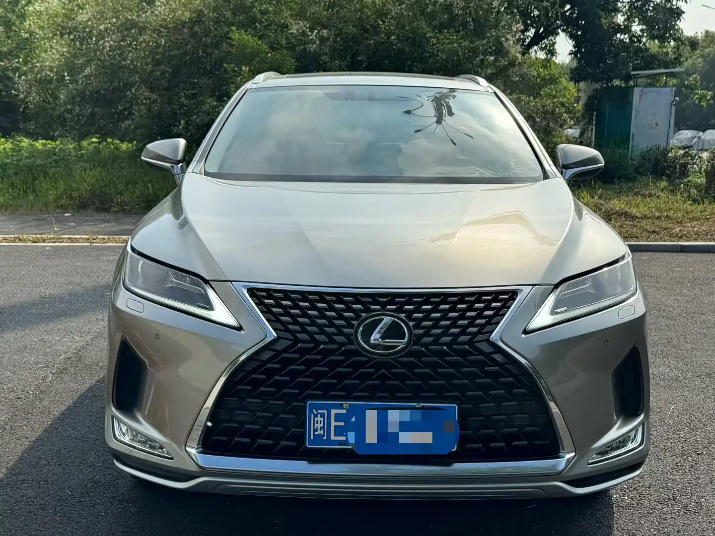 Фото 2 - Lexus RX
