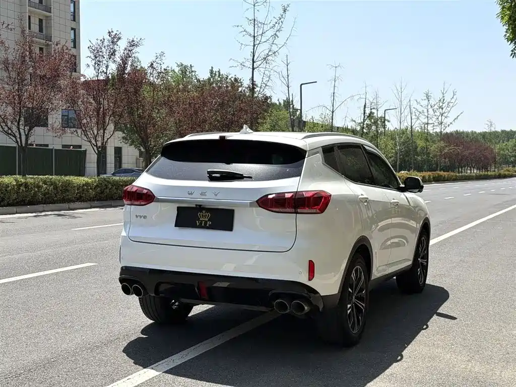 WEI PAI WEI BRAND VV6