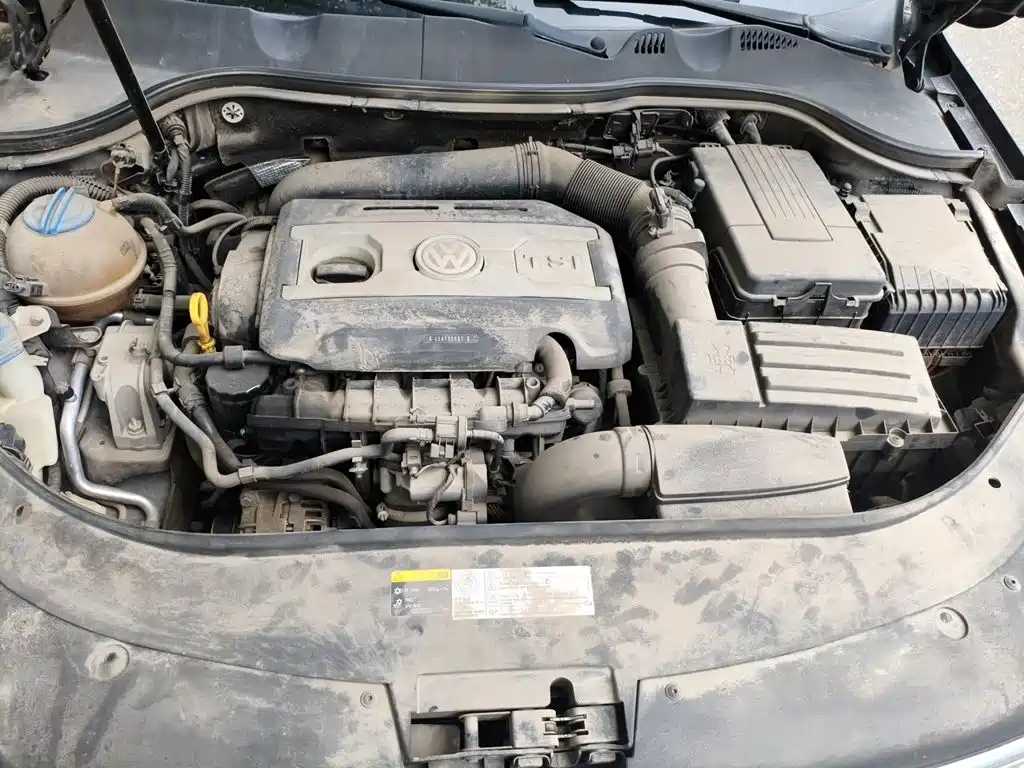 صورة 17 - Volkswagen Magotan