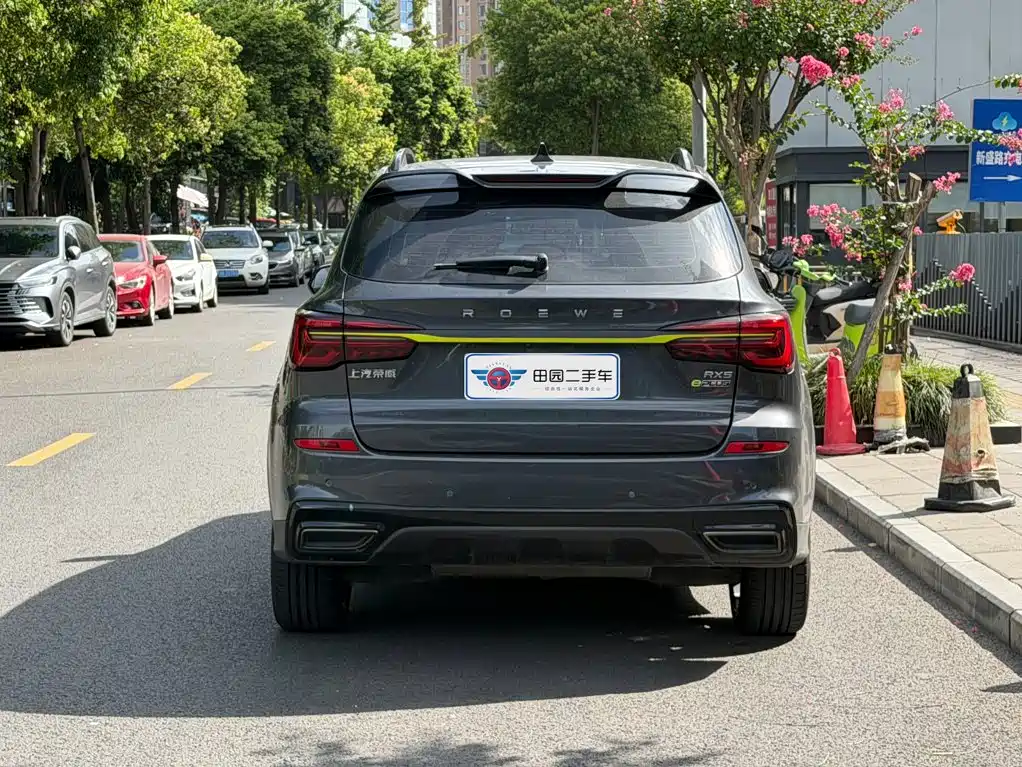 2024 Roewe RX5 New Energy