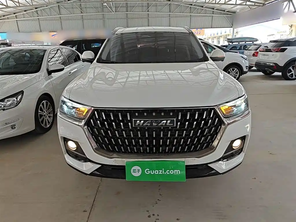 Haval H6 2023 National Trend Edition 1.5T Automatic Champion фото 3