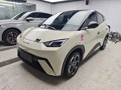 BYD Seagull