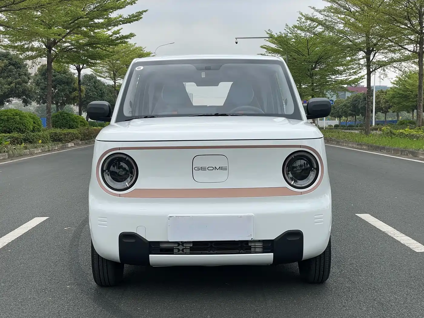 GEELY GALAXY PANDA