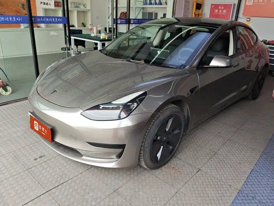 Tesla Model 3 2022 Model Rear-Wheel Drive Version