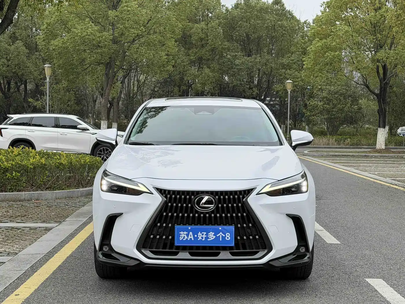 LEXUS NX