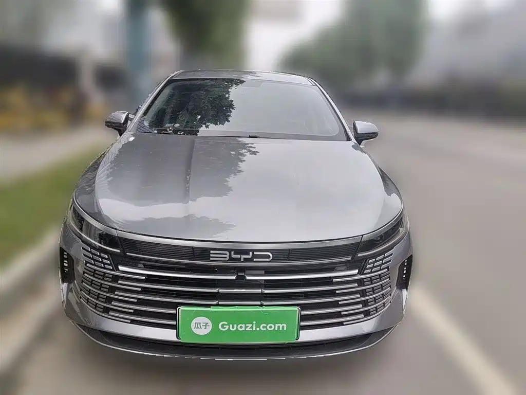 BYD Destroyer 05 2023 Champion Edition DM-i 55KM Luxury фото 3