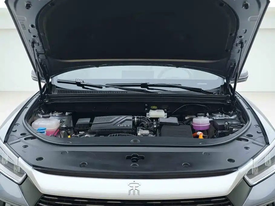 BYD SONGJIANG NEW ENERGY