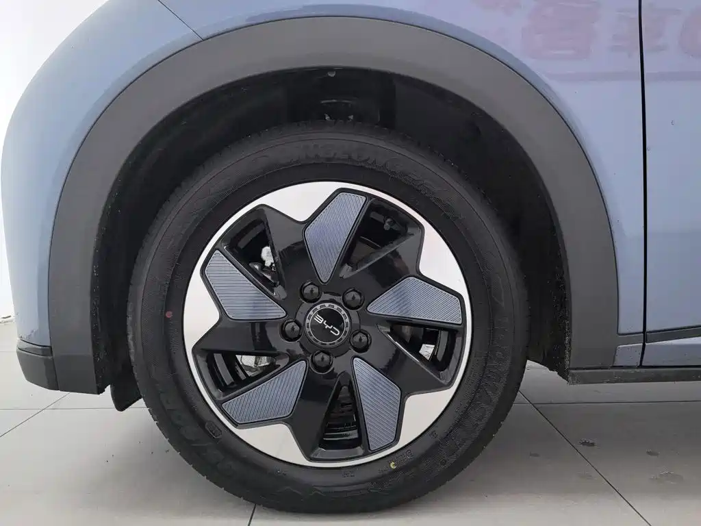 BYD Dolphin 2026 2025 420km Freedom Edition