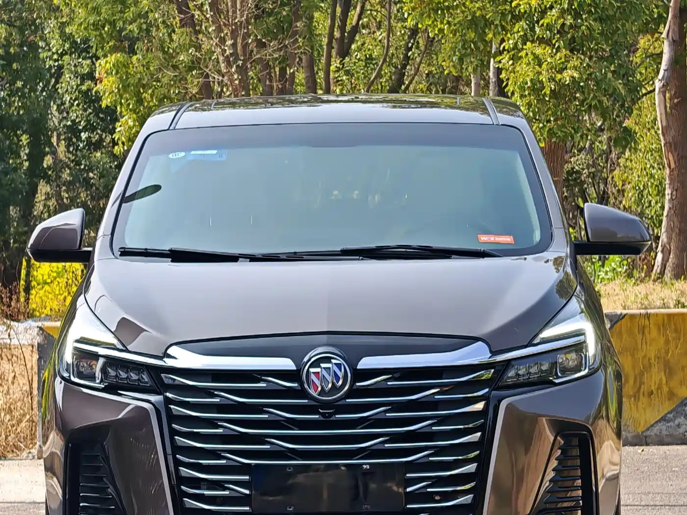 Buick GL8 2023 Facelift Land Business Class Luxury фото 2