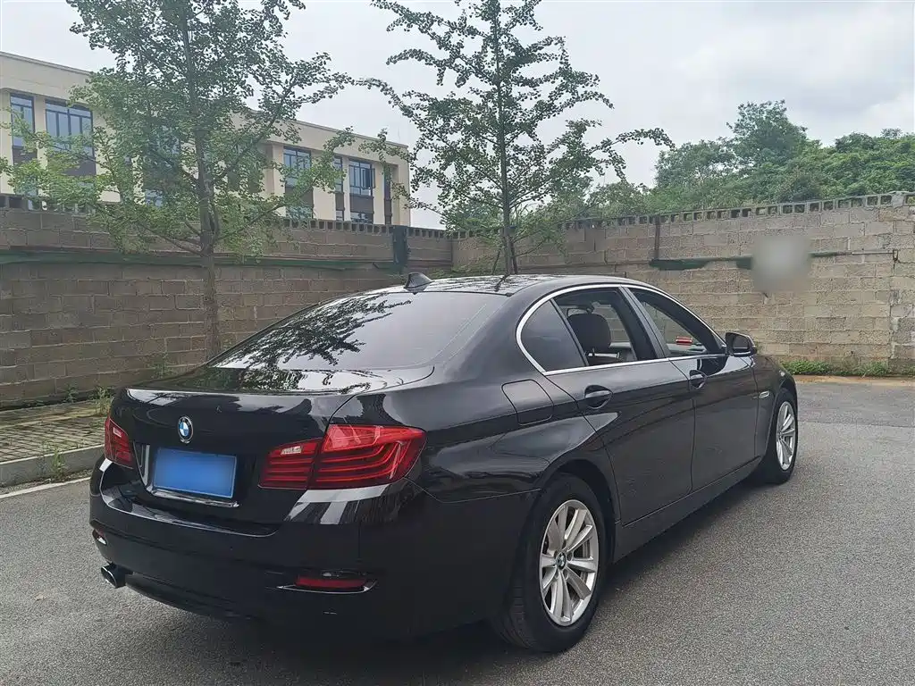 BMW 5 Series 2014 520Li Elegance фото 7