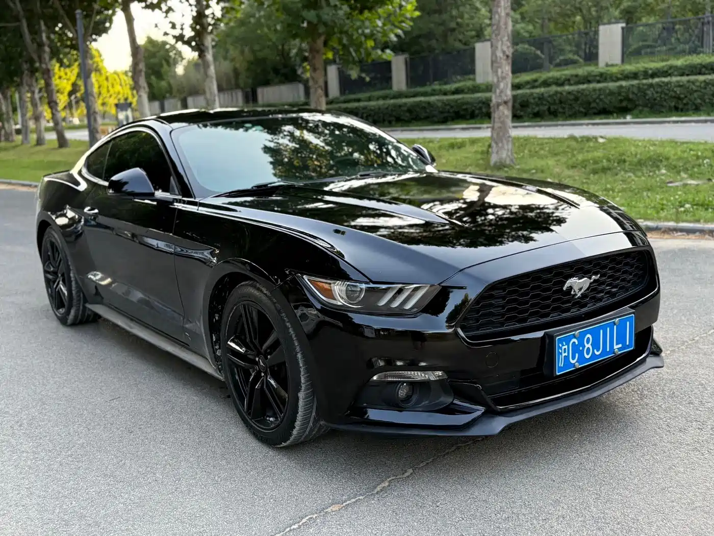 Ford Mustang 2016 2016 2.3T Sport Edition