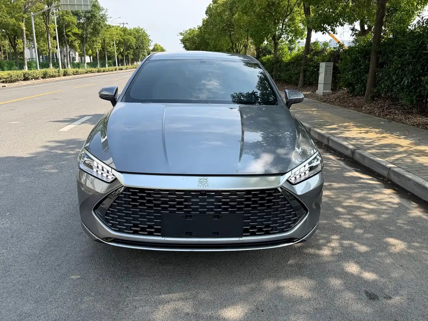 BYD Qin PLUS 2024 Glory Edition DM-i 55KM Leading
