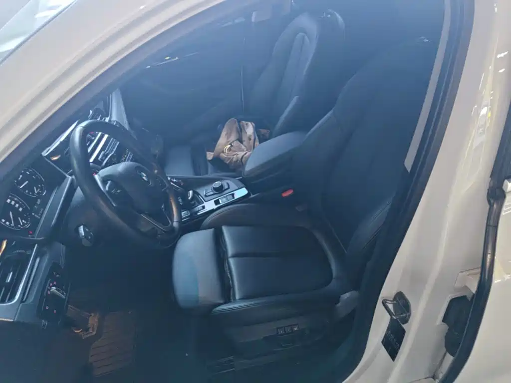 BMW X2 (Import) 2019 2019 sDrive25i Leading M Off-Road Package China VI