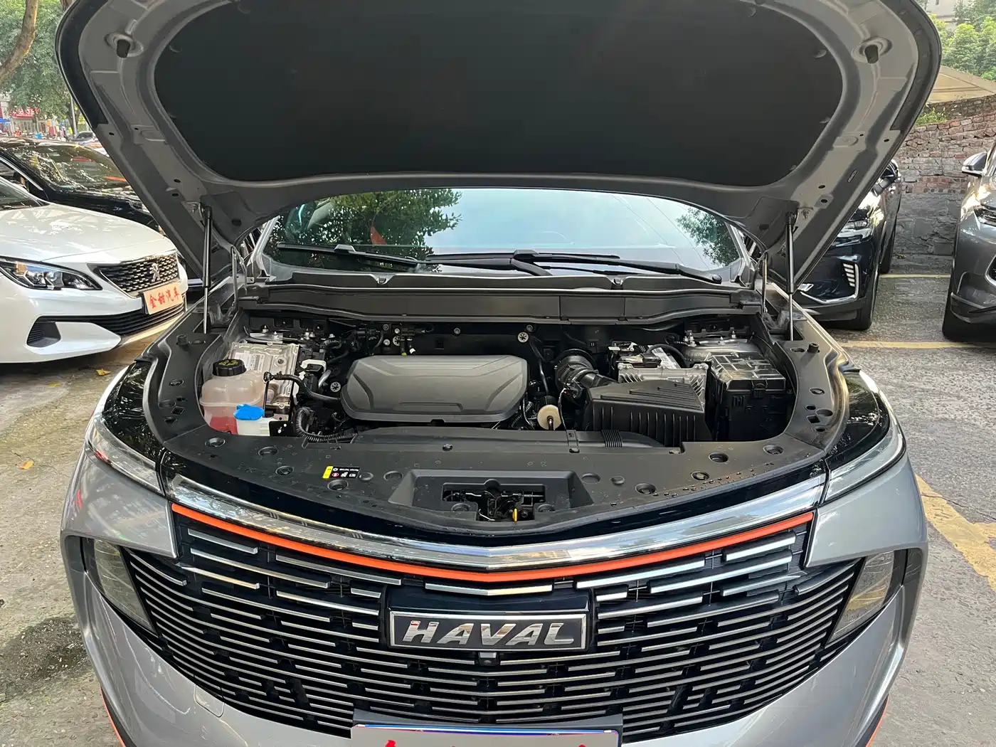 Haval Shenshou 2023 2022 1.5T Smart Enjoyment Edition