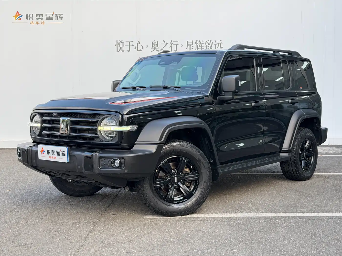 Tank 300 2021 Off-road Version 2.0T Conqueror