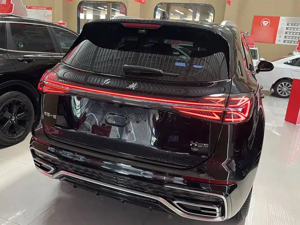 Hongqi HS5 2023 2.0T Flag Enjoy Pro Edition фото 15