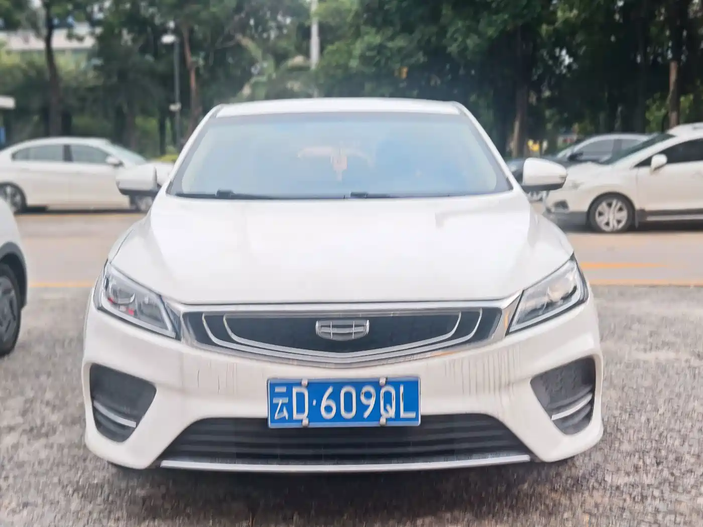 Фото 3 - Geely Binrui
