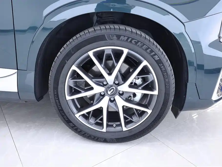 GAC Trumpchi Trumpchi GS8 2022 Dual Engine Series 2.0TM 2WD Premium Edition (7-Seater) фото 6