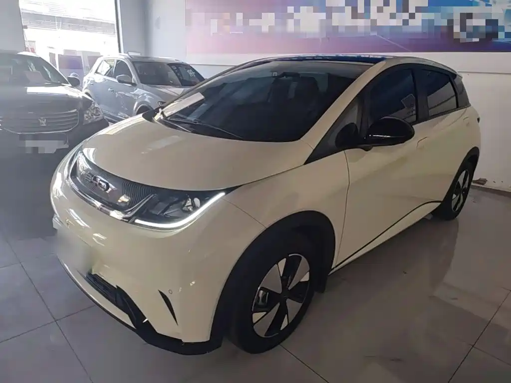 BYD Dolphin 2023 420km Freedom Edition