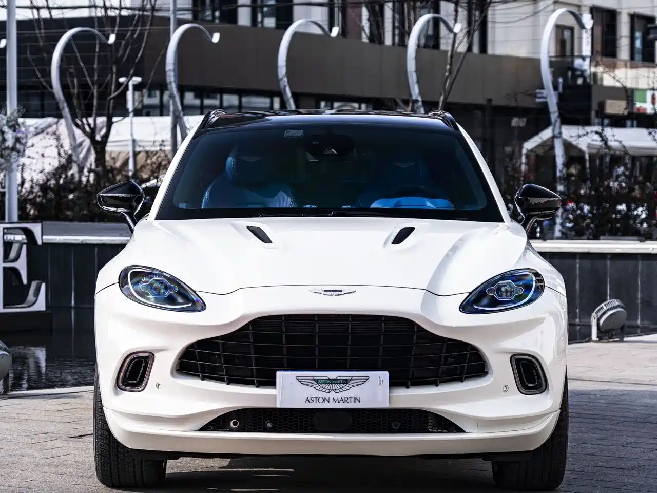 Aston Martin DBX 2021 4.0T V8 Realm of Simplicity фото 2