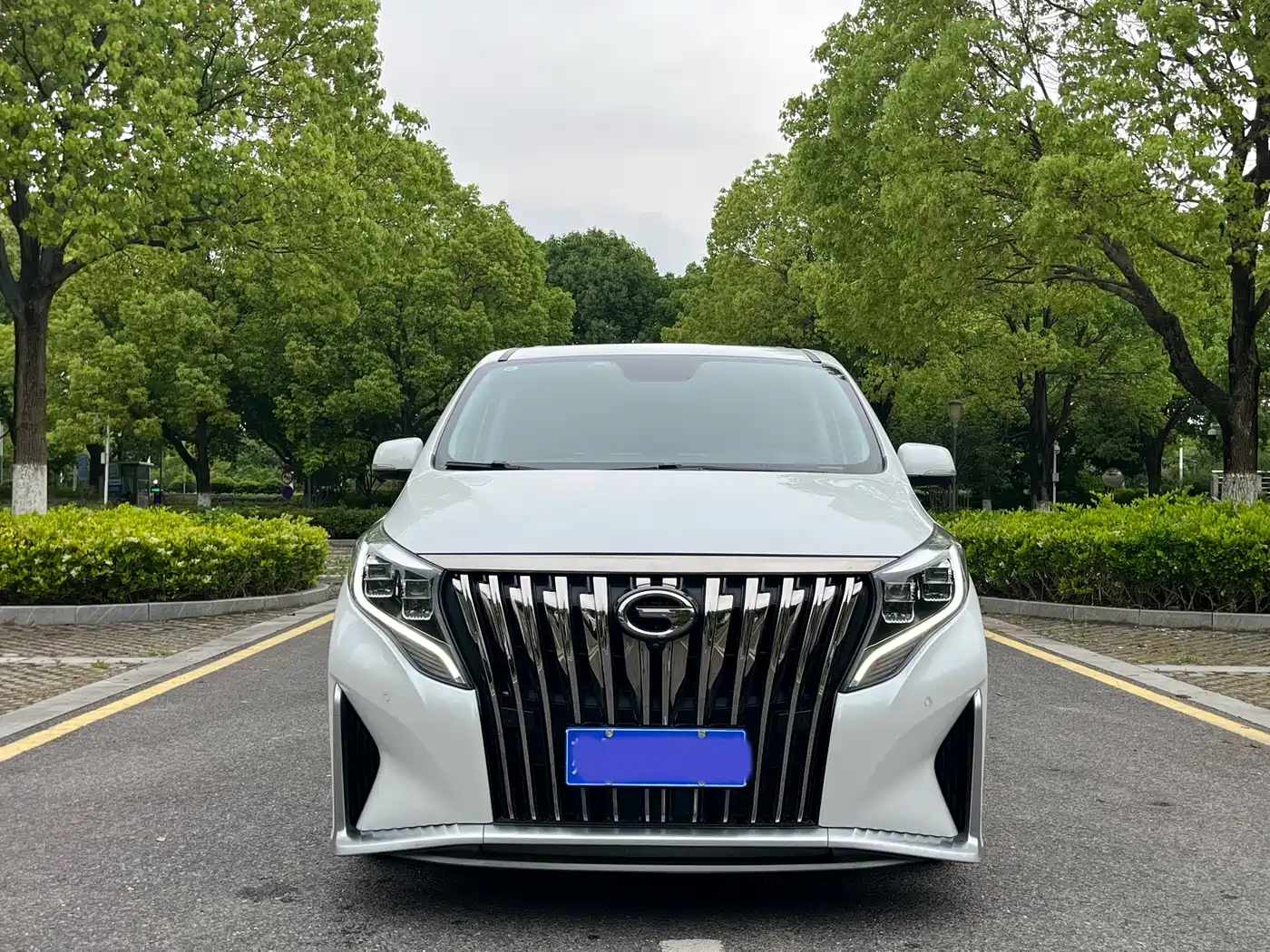 GAC Trumpchi Trumpchi M8 2021 Master Series 390T Ultimate Edition фото 2