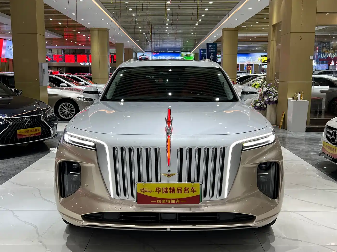 Hongqi HONGQI E HS9