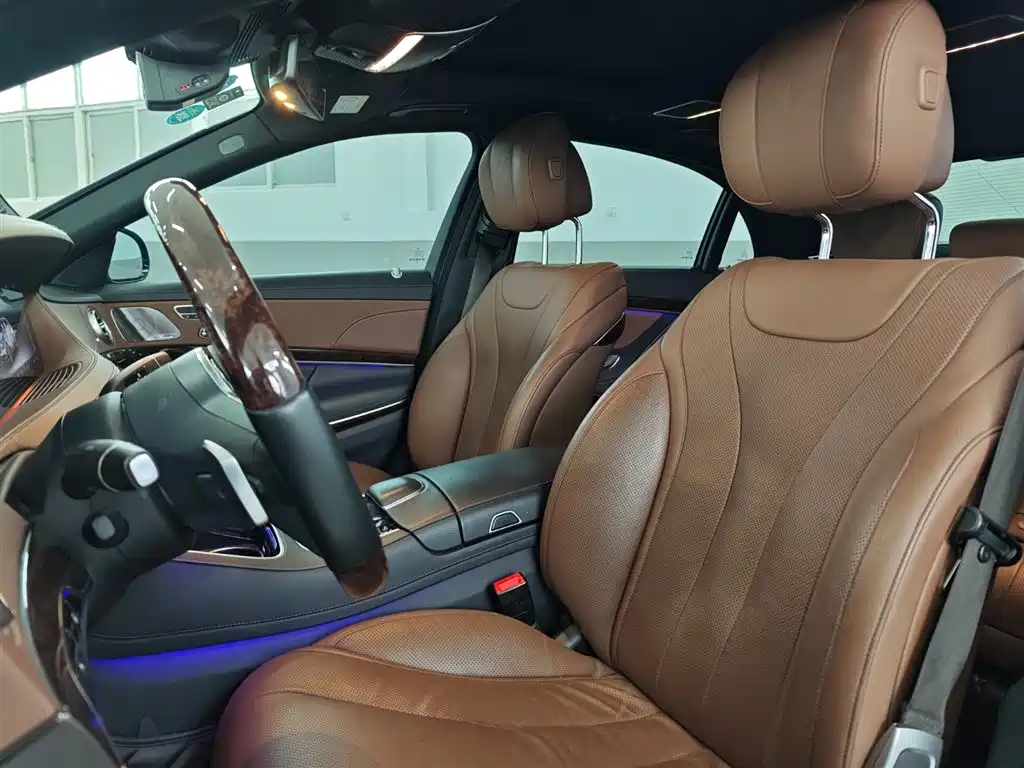 Mercedes-Benz S-Class 2020 S 350 L Premium Edition Collector's Version фото 11