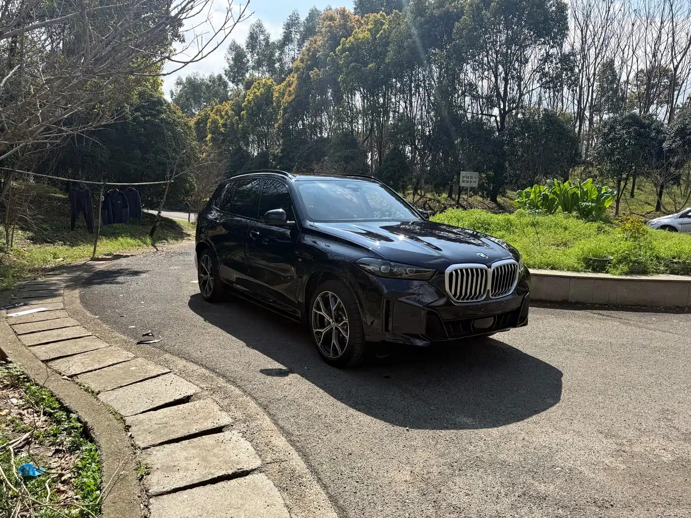 BMW X5 2025 Model xDrive 30Li Exclusive M Sport Blackout Package фото 8