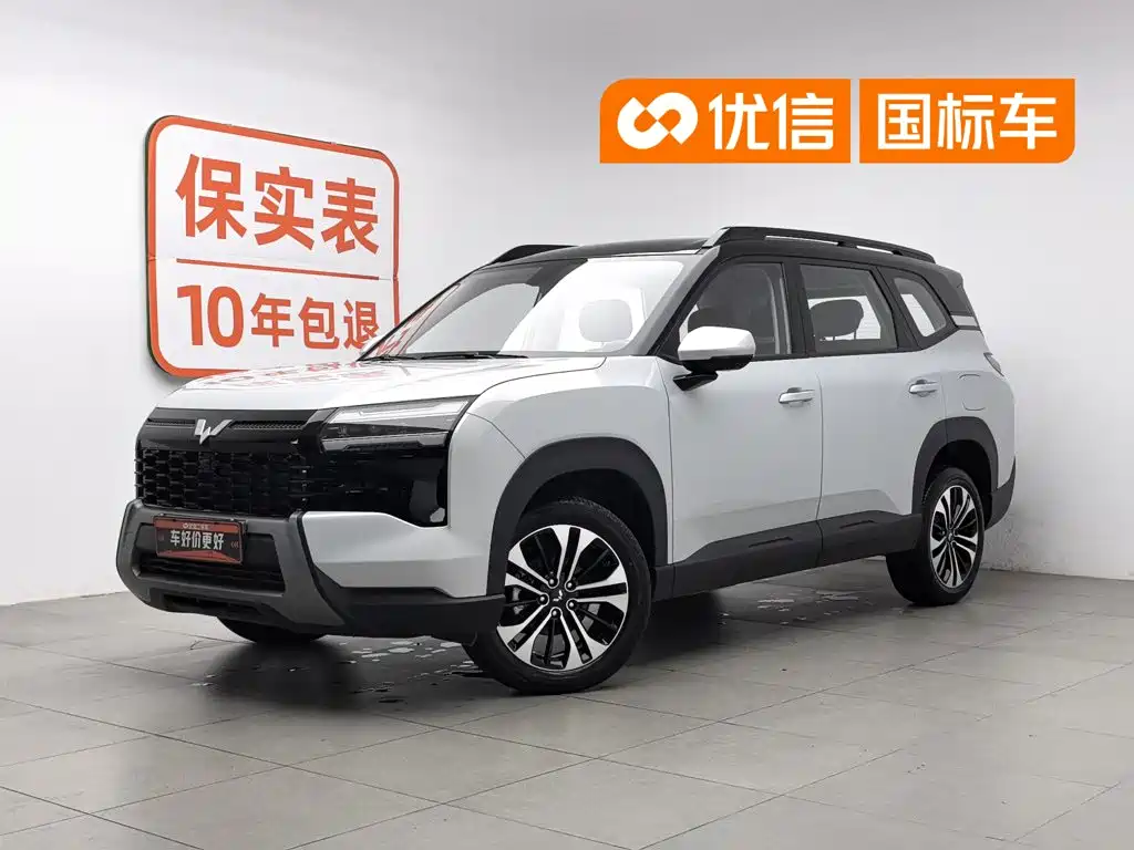 2025 Wuling Motors Starlight 560 NEV
