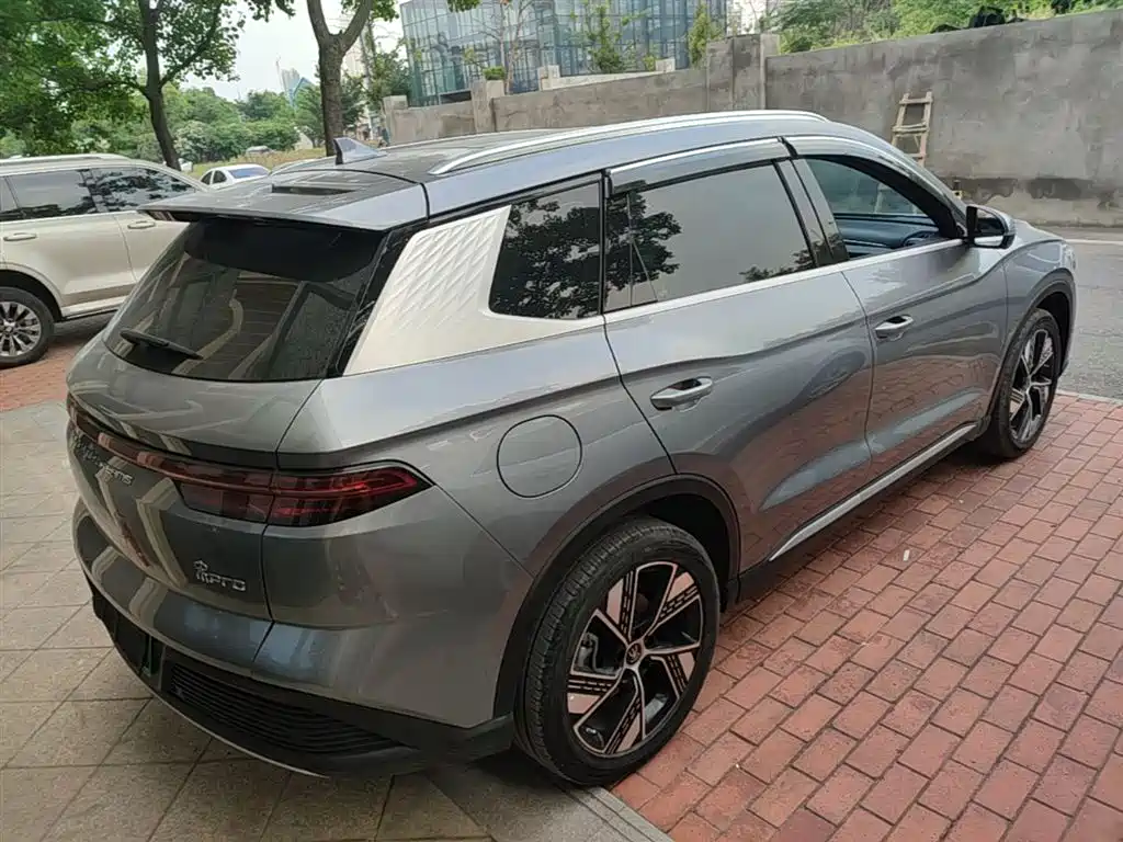 BYD Song Pro New Energy 2024 Glory Edition DM-i 110KM Excellence фото 7