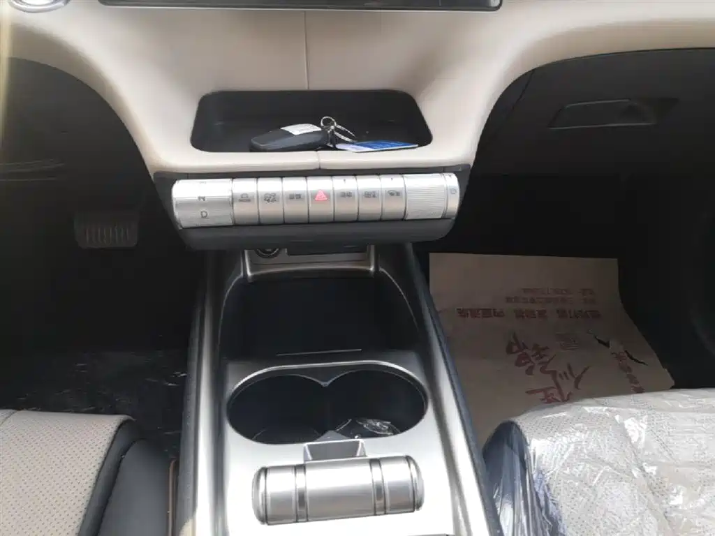 BYD Dolphin 2025 420km Freedom Edition фото 14