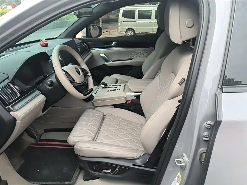 BYD Tang New Energy 2025 DM-i 115KM Flagship фото 15