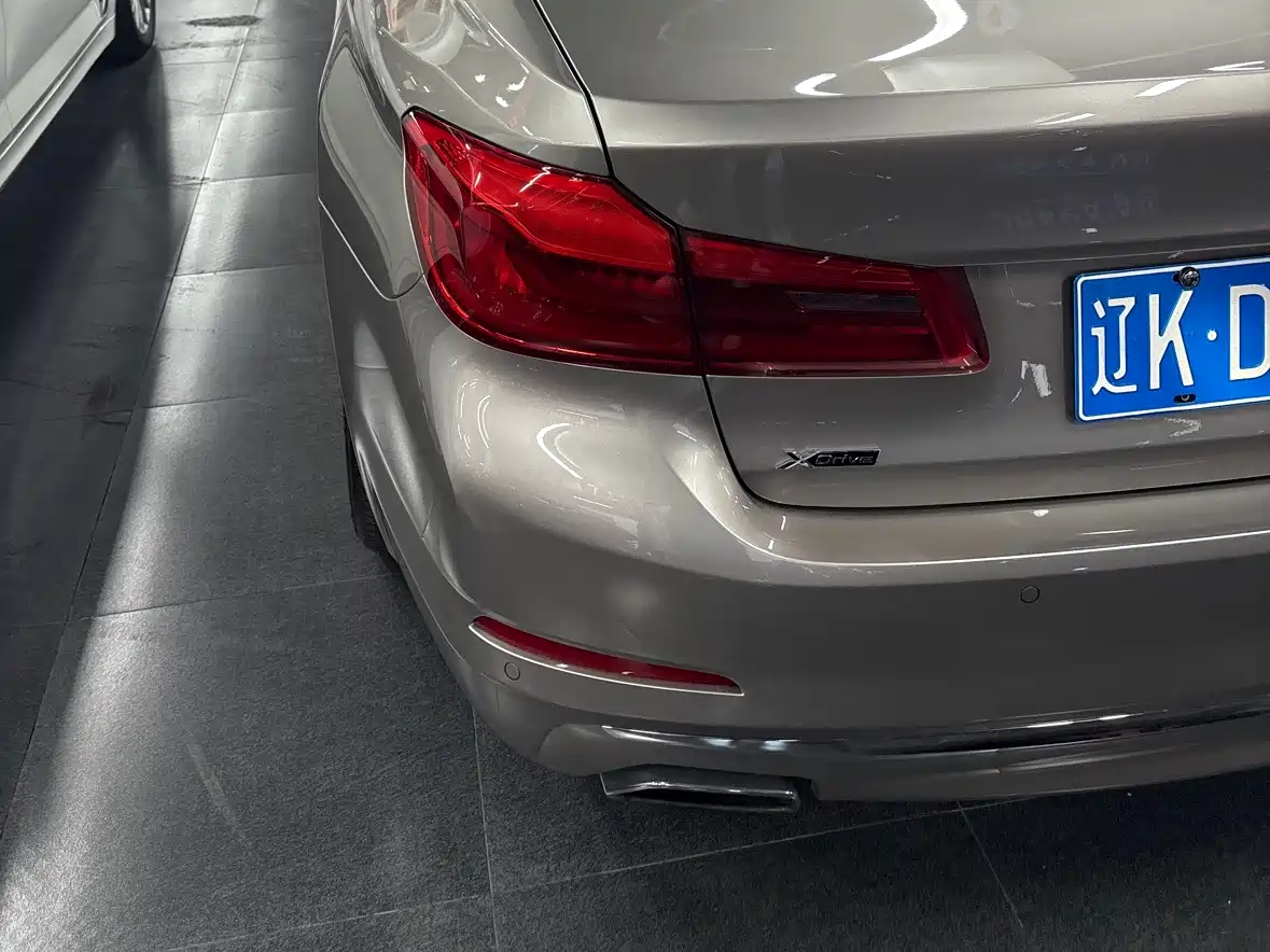 BMW 5 Series 2020 530Li xDrive Luxury Package фото 6