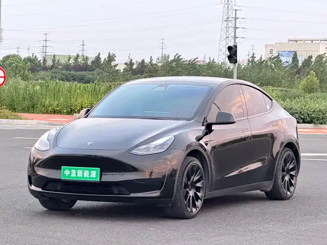 Tesla Model Y Задний привод