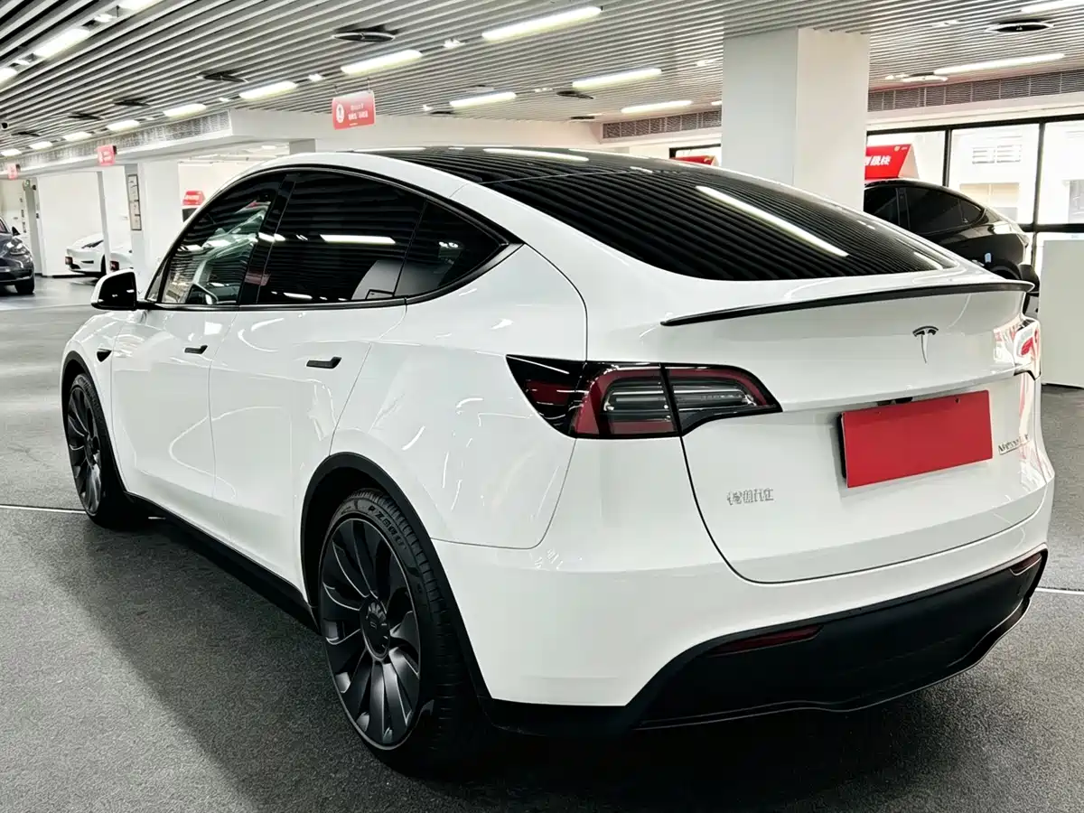 Tesla Model Y 2024 Performance фото 6