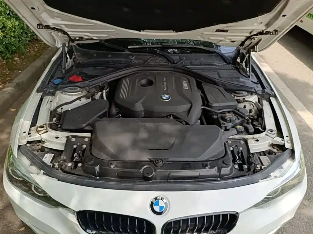 BMW 3 Series 2018 320Li M Sport Black Night Edition фото 20