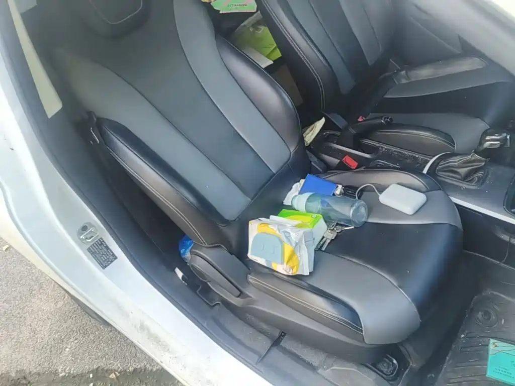 Roewe Kaiwei CLEVER 2023 2022 311km Vitality Bobo Edition