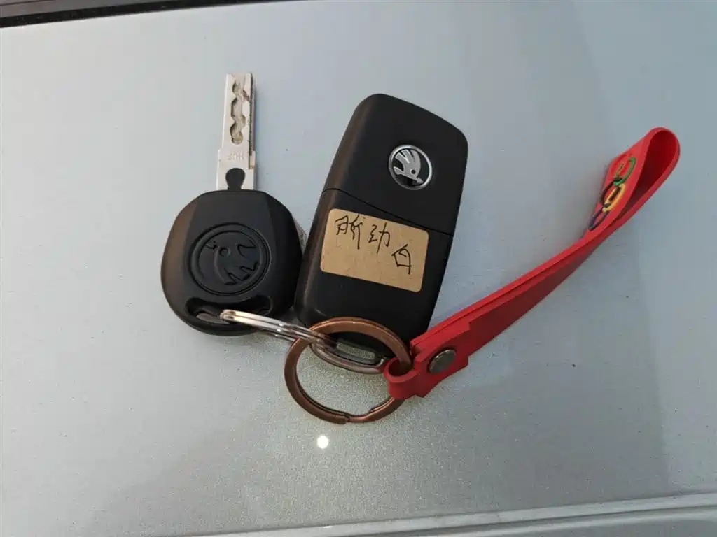 Škoda Rapid 2019 1.5L Automatic Comfort Version China VI фото 9