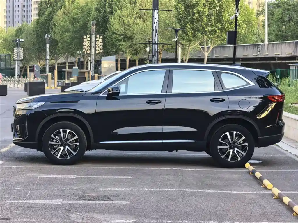 Haval H6 2022 3rd Gen 1.5T Auto 2WD Max фото 11