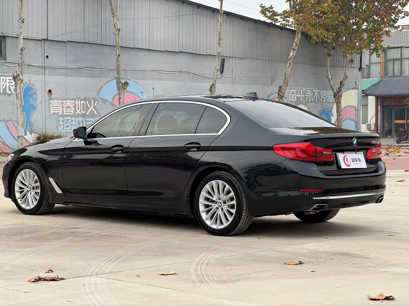 BMW 5 Series New Energy 2020 530Le Range Upgrade Luxury Package фото 20