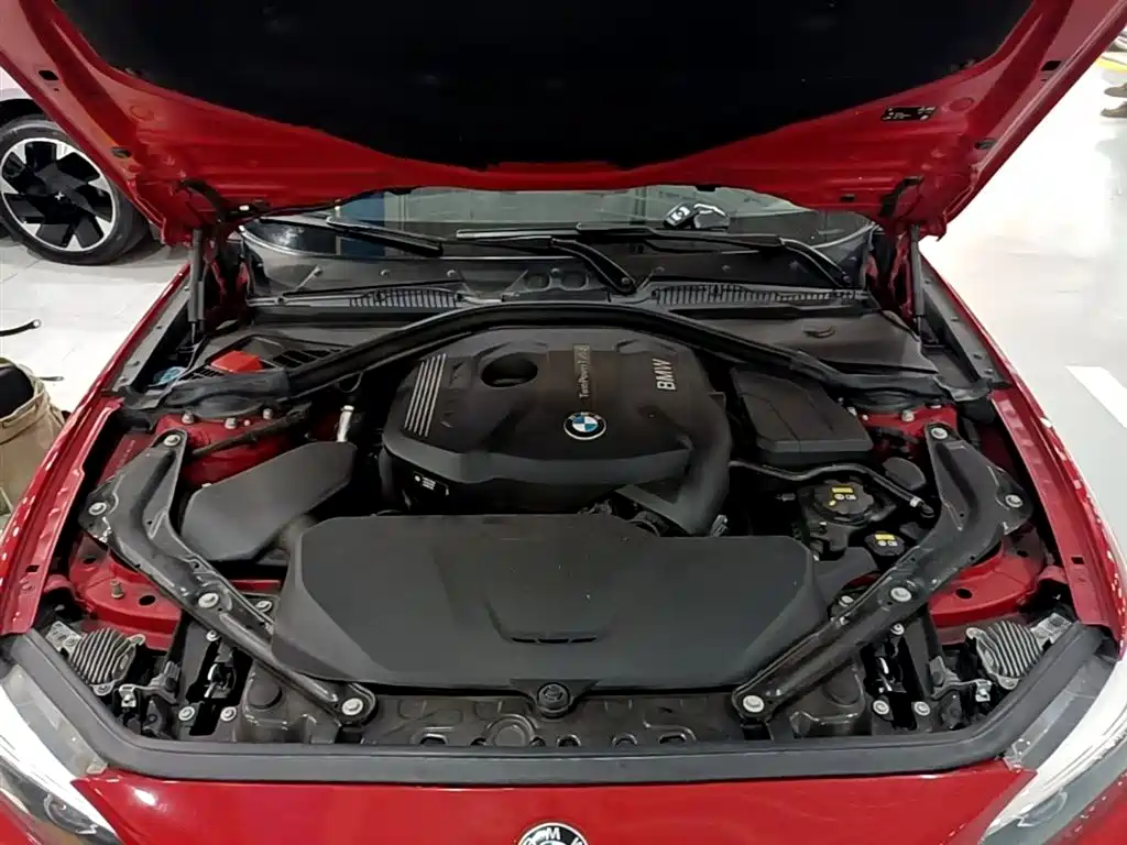 BMW 2 Series (Import) 2018 225i Convertible Coupe M Sport фото 20