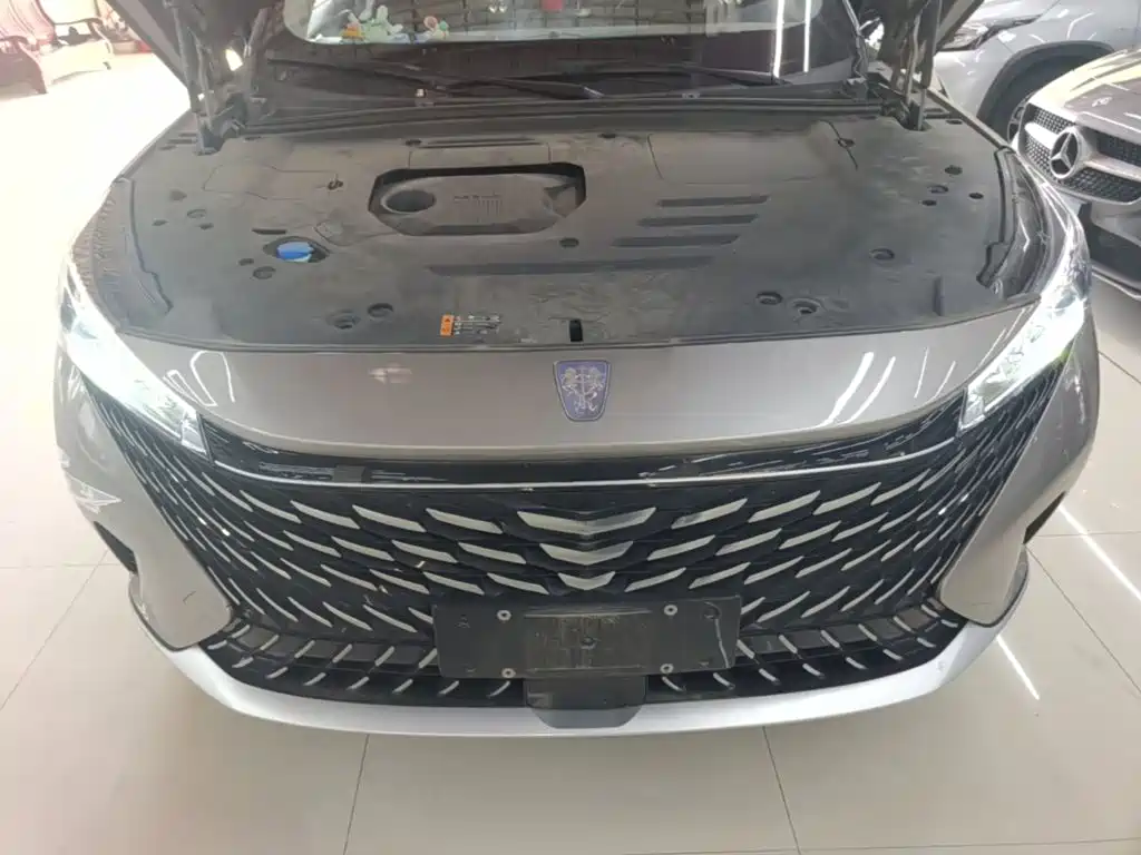 Фото 20 - Roewe RX5