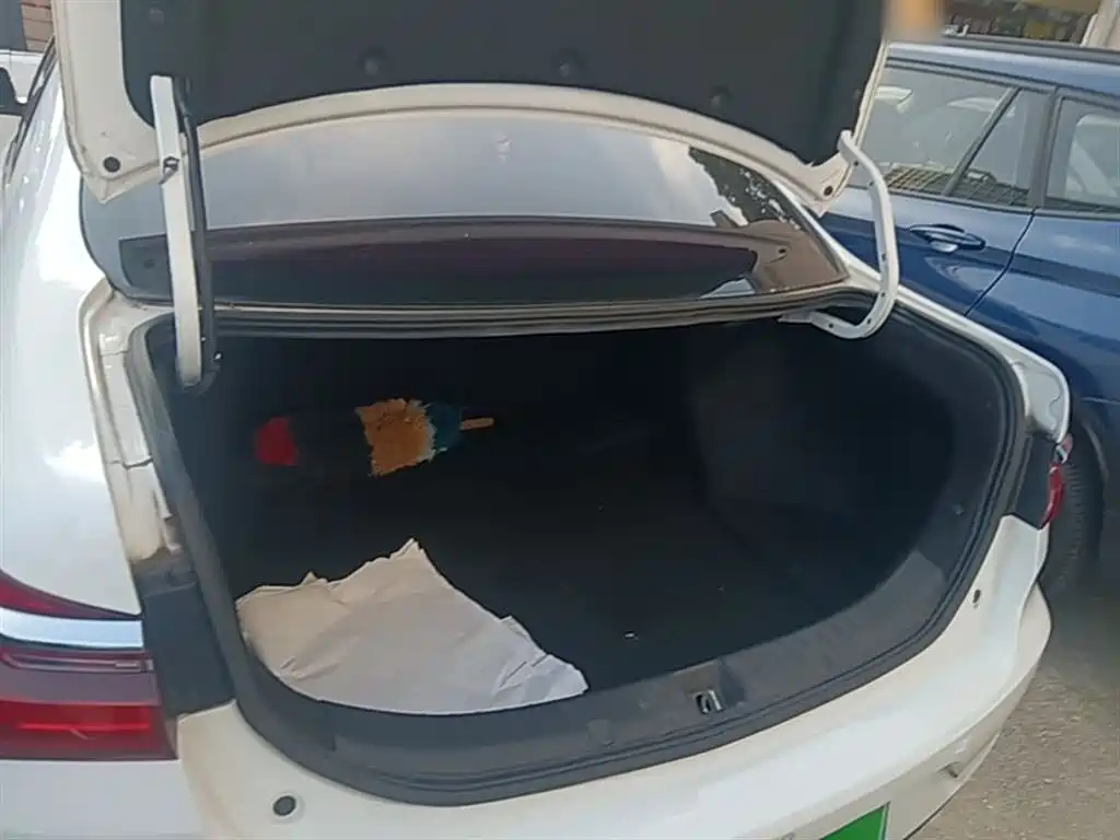 BYD Qin New Energy 2019 Long Range Luxury Edition фото 19