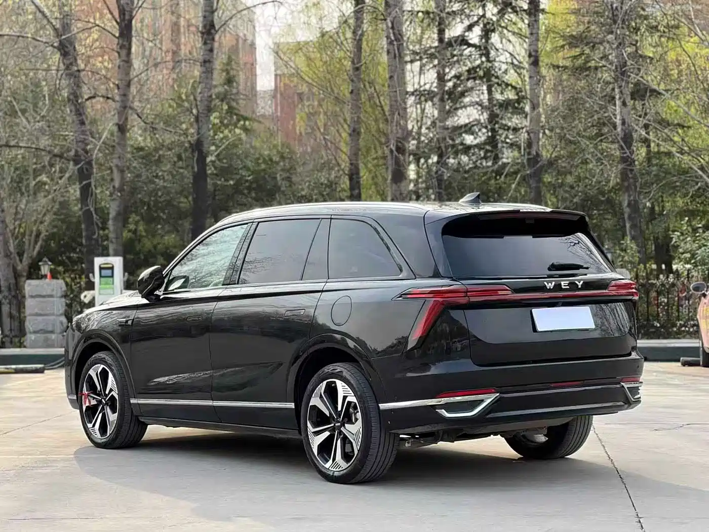 WEI PAI WEI BRAND BLUE MOUNTAIN