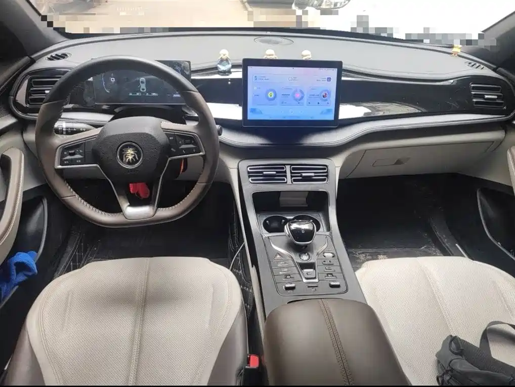 BYD Qin PLUS 2024 Glory Edition DM-i 55KM Leading фото 14