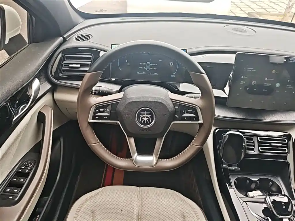 BYD Qin PLUS 2024 Glory Edition DM-i 55KM Leading фото 11
